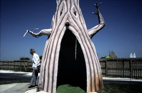 (c) Alex Webb / Magnum Photos