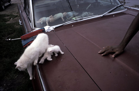 (c) Alex Webb / Magnum Photos