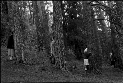 (c) Abbas / Magnum Photos