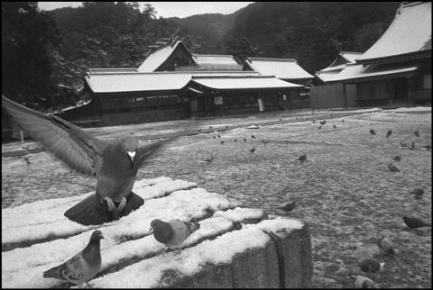 (c) Abbas / Magnum Photos