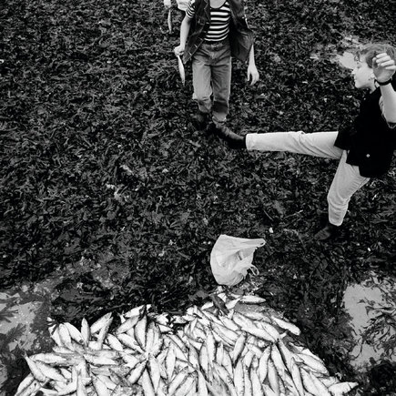 (c) Mark Power / Magnum Photos