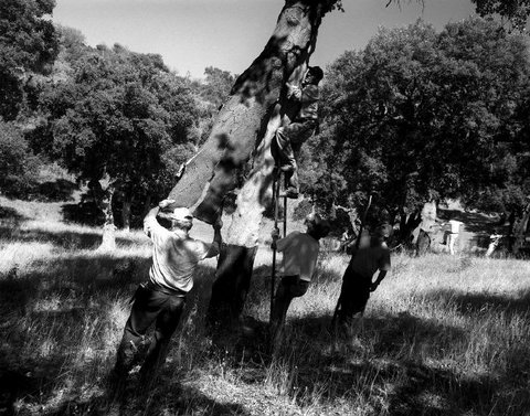 (c) Stuart Franklin / Magnum Photos