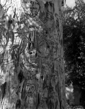 (c) Stuart Franklin / Magnum Photos