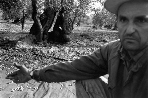 (c) Stuart Franklin / Magnum Photos