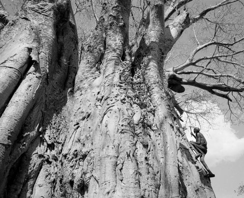 (c) Stuart Franklin / Magnum Photos