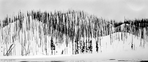 (c) Stuart Franklin / Magnum Photos