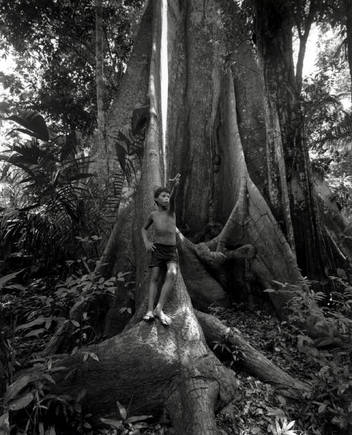 (c) Stuart Franklin / Magnum Photos