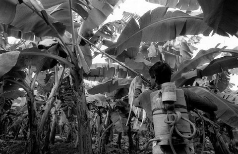 (c) Stuart Franklin / Magnum Photos