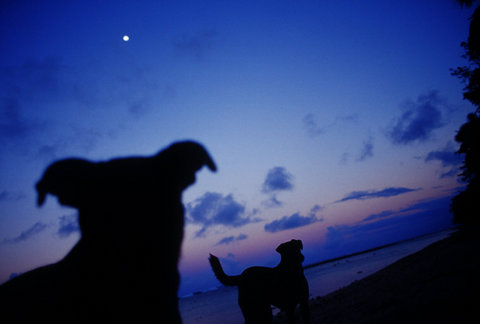(c) Trent Parke / Magnum Photos