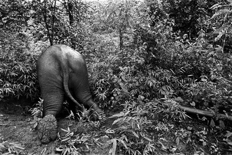 (c) Chien-Chi Chang / Magnum Photos