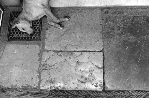 (c) Ferdinando Scianna / Magnum Photos