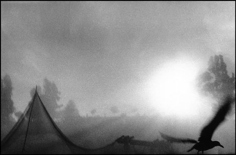 (c) Sergio Larrain / Magnum Photos